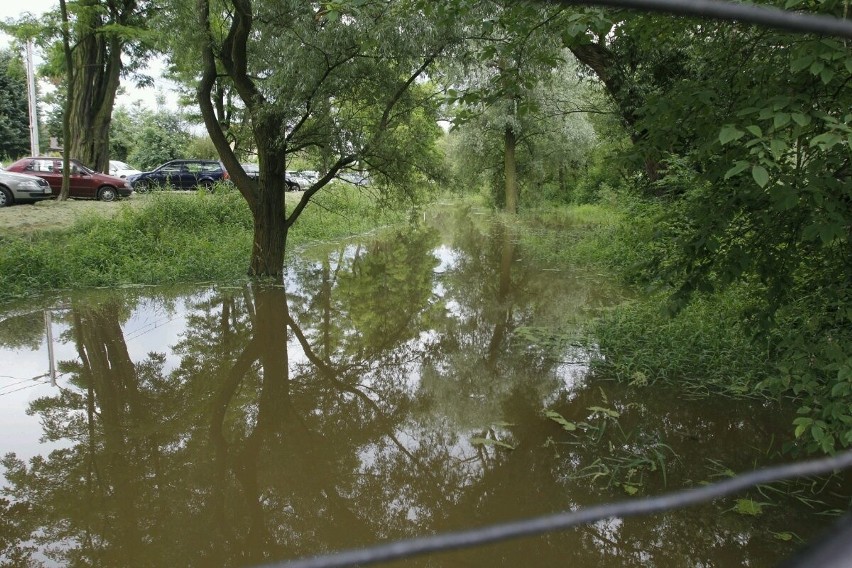 Wrocław: Woda zalewa Karczmę Rzym. Miasto nie pomaga (ZDJĘCIA)