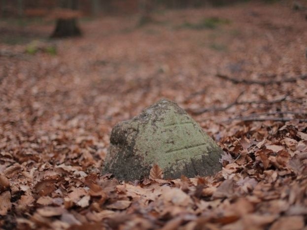 Skradziono zabytkowy kamień z Puszczy Bukowej