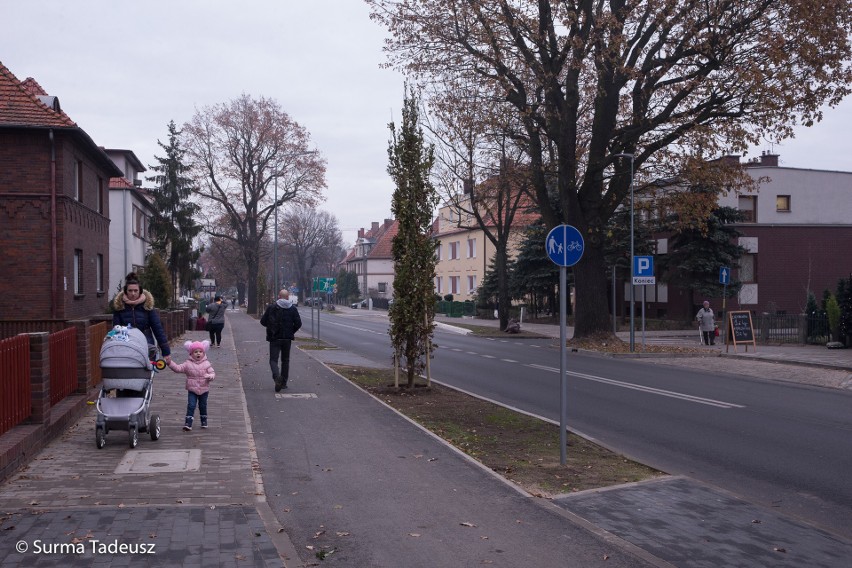 Nowe drzewa na przebudowanej alei Żołnierza [ZDJĘCIA]