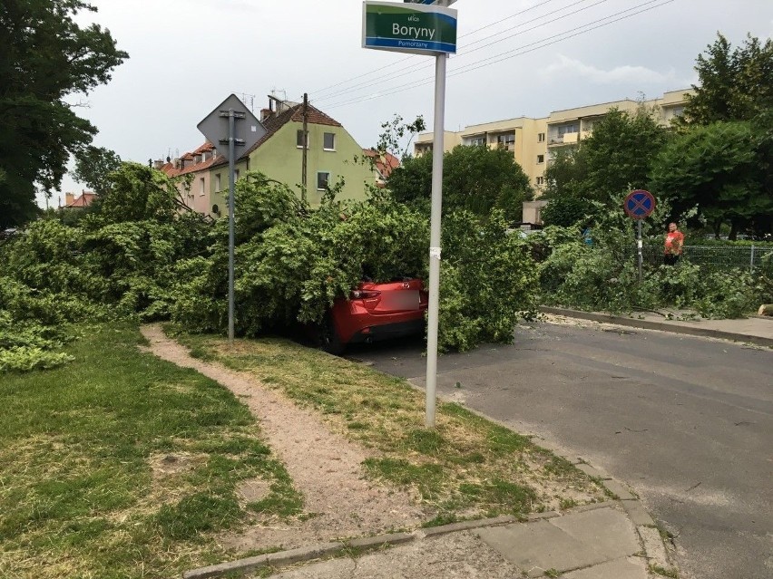 Burza w Szczecinie i regionie. Około 140 interwencji straży pożarnej