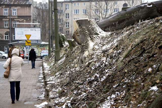 Biurowiec przy ul. Spokojnej w Lublinie. Wycięli drzewa, będą budowaćWycinka drzew przy ul. Spokojnej w Lublinie