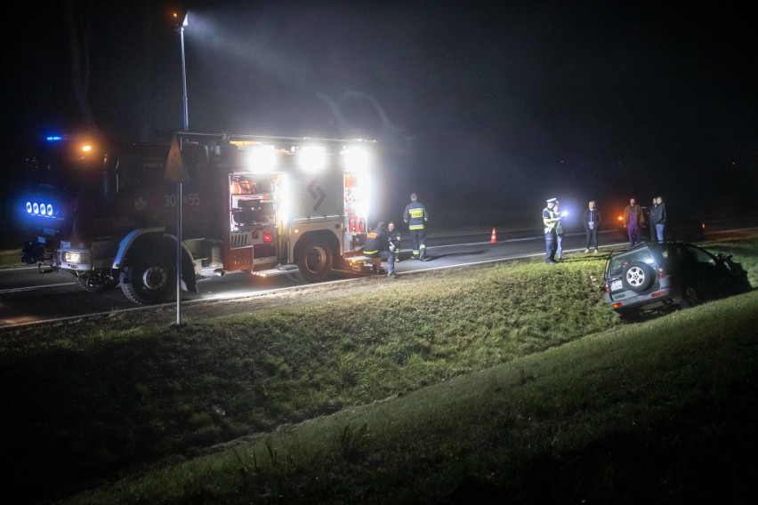 Królowy Most: Wypadek na DK 65. Samochód potrącił konia. Zwierzę padło, kierowca ranny [ZDJĘCIA]