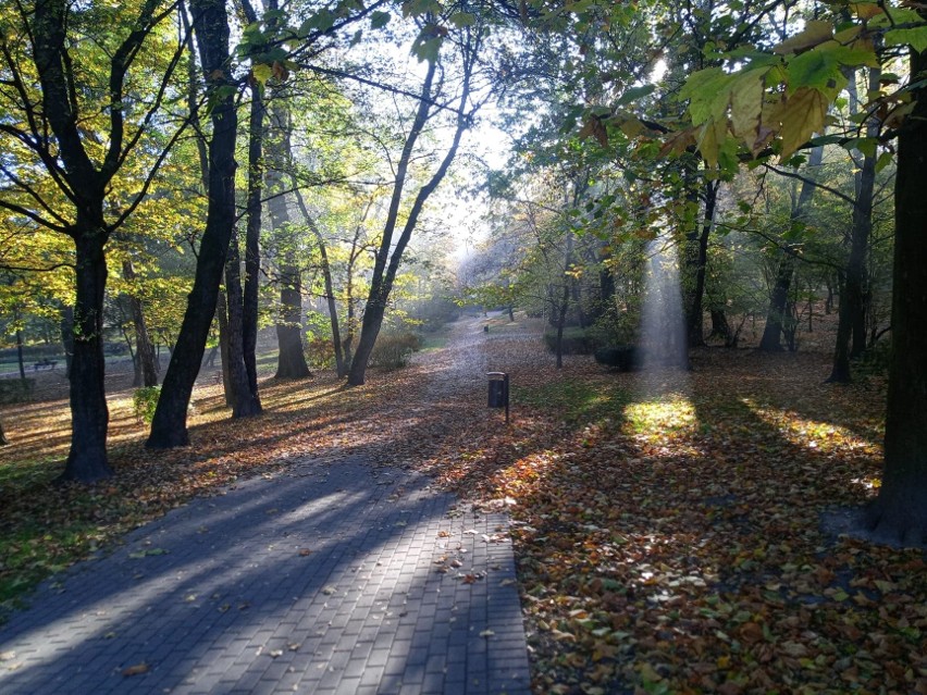 Zdjęcia z październikowego spaceru w parku Róż w Chorzowie