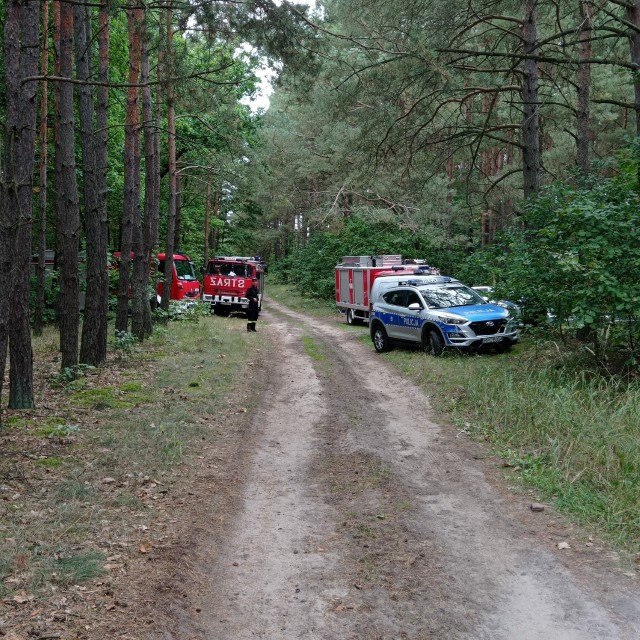 Łącznie w poszukiwaniach wzięło udział 74 policjantów i strażaków ochotników. W trakcie poszukiwań wykorzystano quada, strażacy i policjanci ogłaszali komunikaty przez megafony, użyto również psa tropiącego