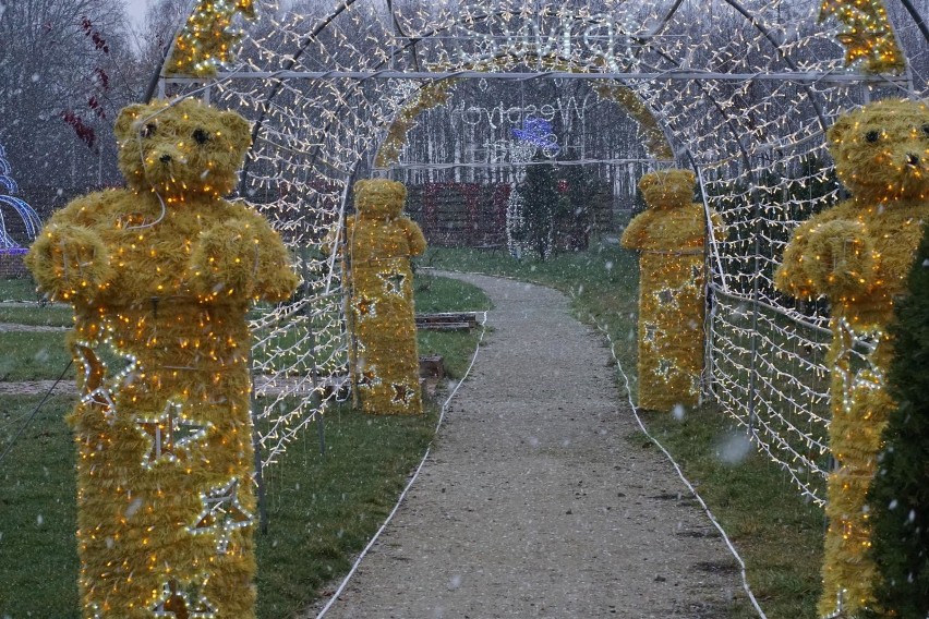 Deli Park w obecnej sytuacji COVID-19, działa wyłącznie jako...