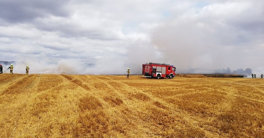 Wielki pożar pola zboża pod Słupskiem