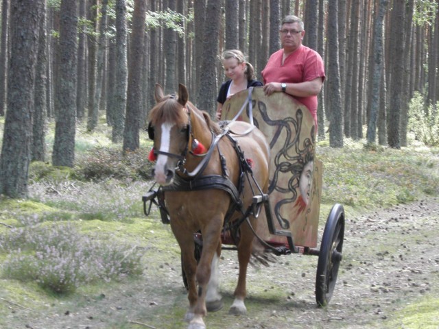 Impreza "Goci na Kamiennych Kręgach" organizowana jest od siedmiu lat przez Urząd Gminy Manowo. Dzięki niej gmina promuje swój najcenniejszy zabytek. 