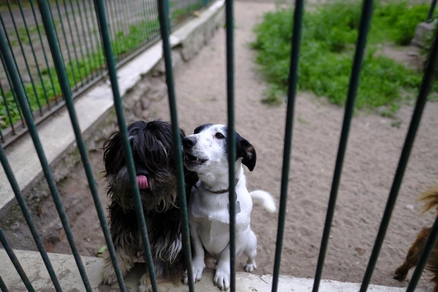 Z prognoz pogody wynika, że już w najbliższych dniach może...