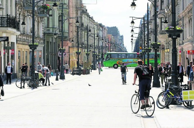 Katalpy zdobią zazwyczaj odcinek ul. Piotrkowskiej od pl. Wolności do ul. Jaracza.