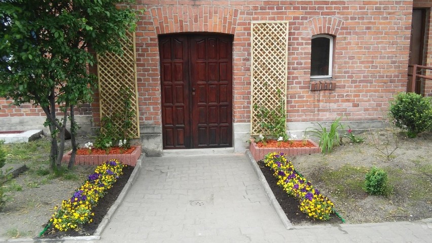 Ozdobione wejścia do kamienic w Katowicach