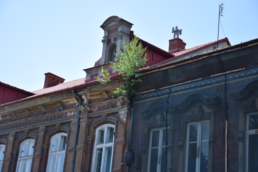 Zrujnowane kamienice w centrum Starego Miasta odzyskają...