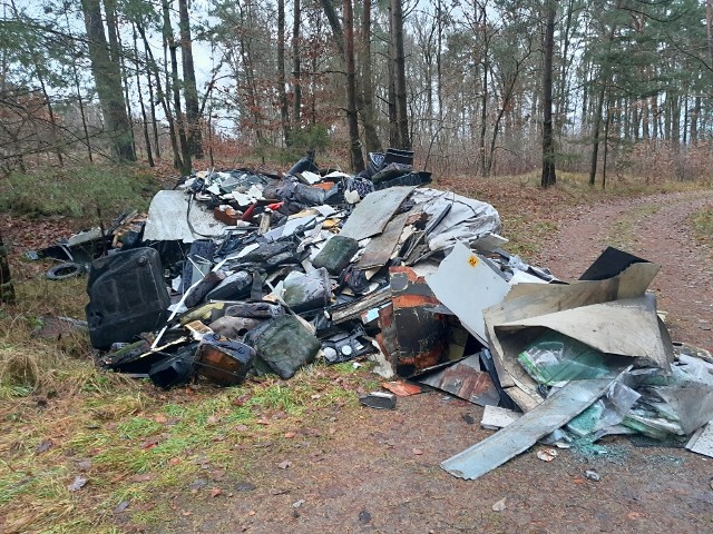 Tego nikt się nie spodziewał. Śmieci podrzucone w lesie przy drodze krajowej nr 6 na terenie Nadleśnictwa Lębork zniknęły pod osłoną nocy.