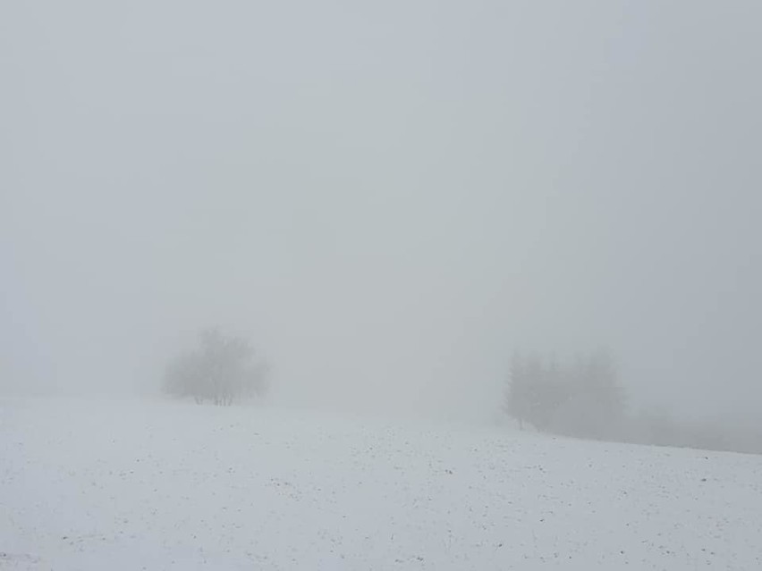 Muszyna. Zima powróciła do uzdrowiska. Na górze Malnik jest biało [ZDJĘCIA]