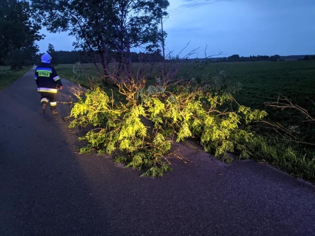 W czwartek o godzinie 20:56 strażacy z OSP Knyszyn zostali zadysponowani do powalonego drzewa na drodze Knyszyn-Grądy. Działania polegały na usunięciu drzewa z drogi