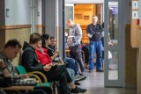Każdego tygodnia do urzędu wojewódzkiego w Bydgoszczy wpływa około tysiąca wniosków o wydanie paszportu