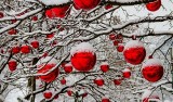 Pogoda na święta Bożego Narodzenia 2017. Sprawdź prognozę pogody na sobotę, wigilię i święta Bożego Narodzenia