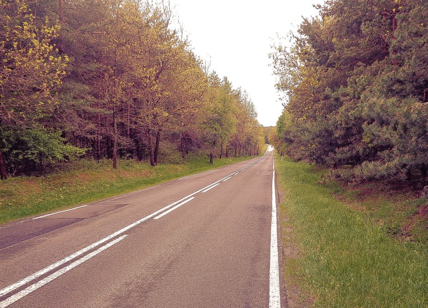 Generalna Dyrekcja Dróg Krajowych i Autostrad w Katowicach...