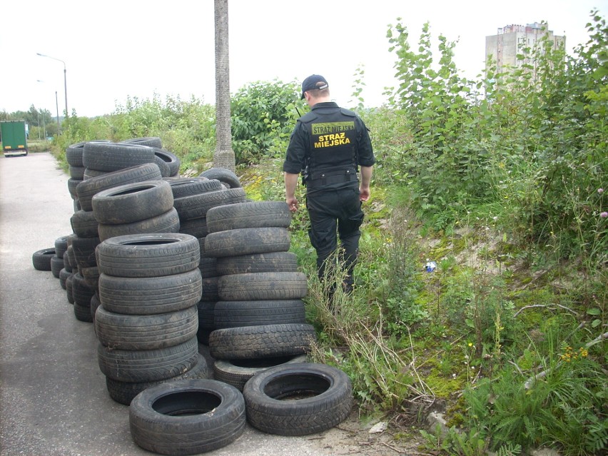 Straż Miejska w Koszalinie szuka sprawców zaśmiecenia rejonu...