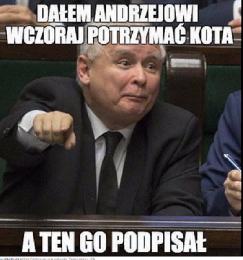 Jarosław Kaczyński i jego miłość do zwierząt. Zobacz najlepsze memy