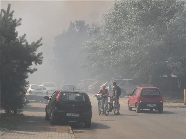 Pożar w Częstochowie. Z gigantycznym pożarem nieużytków walczą strażacyZobacz wideo z pożaru