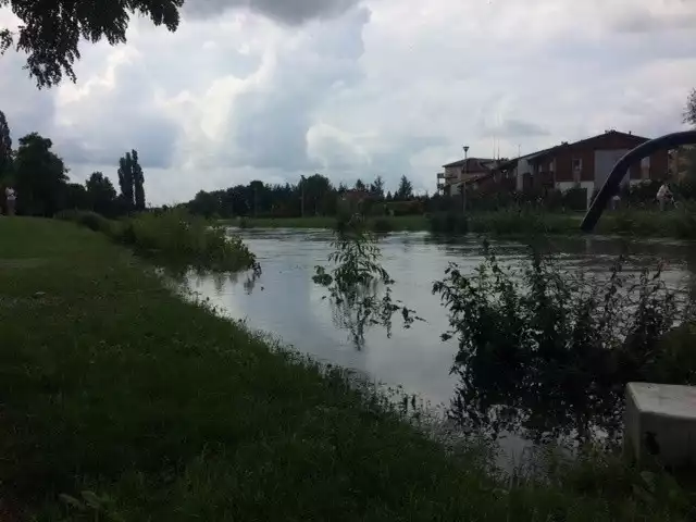 Rzeka Radunia wylała w Pruszczu Gdańskim