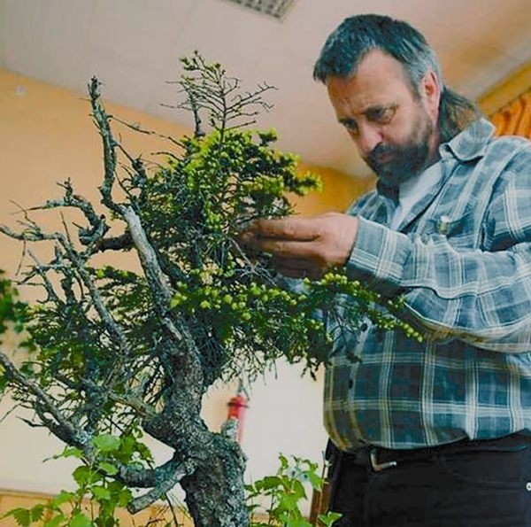 Podczas wystawy w 2008 roku tajniki pielęgnacji roślin zdradzał m.in. Werner Busch z Niemiec.