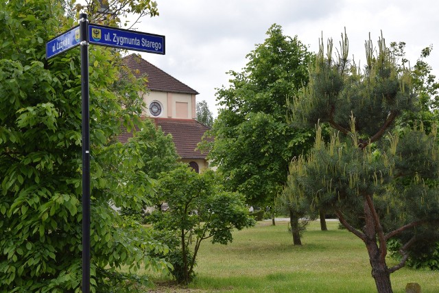 Nowy duży park rekreacyjny powstanie w Nowej Soli. Przy ul. Zygmunta Starego już teraz jest pięknie. Połączenie wody i lasu robi wrażenie. Zobacz zdjęcia.