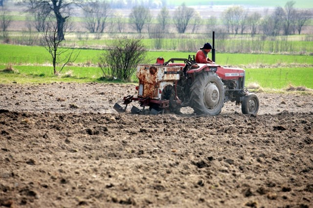 Na Dolnym Śląsku mniej rolników złożyło wnioski o dopłaty obszaroweOstateczny termin składania wniosków o dopłaty obszarowe w bieżącym roku mija 10 lipca