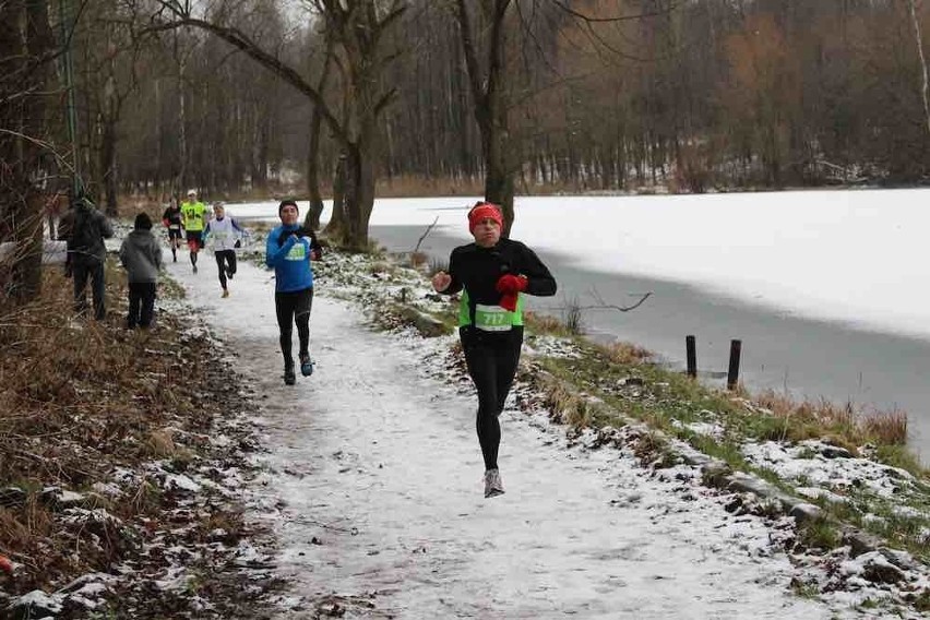 City Trail Katowice Giszowiec 4.1.2015