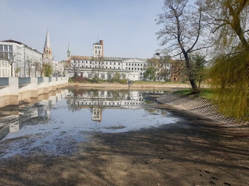 Wyjątkowo suchy staw w centrum Łodzi. Poziom wody powinien być wyższy o dwa metry! ZDJĘCIA