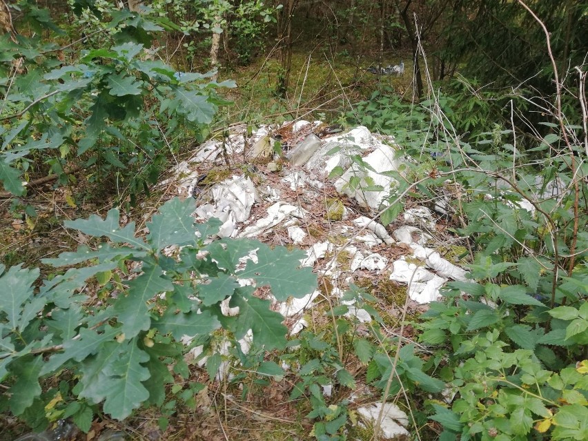 Gmina Krypno. Nielegalne wysypisko śmieci - wójt interweniuje (zdjęcia)