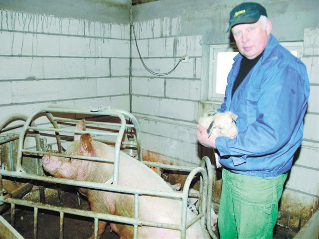 Ceny przed świętami. Wieprzowina bedzie droższa