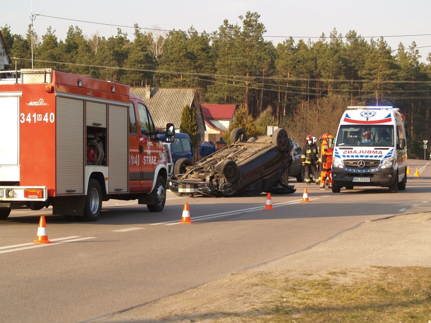 Dachowanie w Łęgu Starościńskim, 27.03.2020