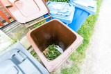 Mieszkańcy gminy Brzeziny dostaną nowe pojemniki na odpady bio. Wymiana rozpocznie się 5 kwietnia