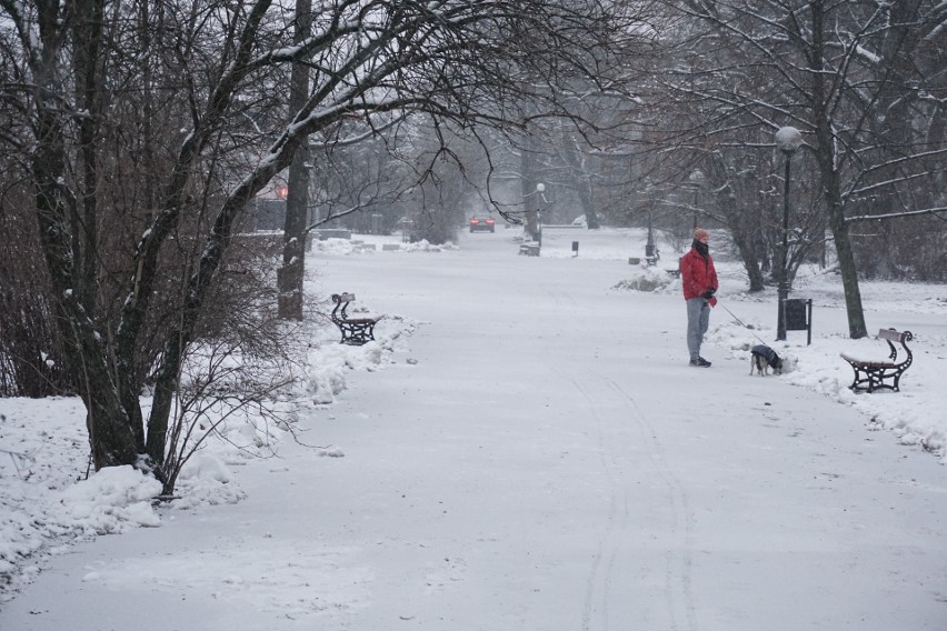 Zima w Łodzi w pełni. Śnieg zaczął padać po południu, a od czwartku chwyci silny mróz. Sprawdź prognozę pogody. ZDJĘCIA