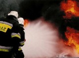 Kilkudziesięciu strażaków walczyło z pożarem
