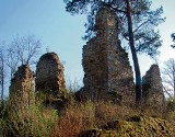 Stadniccy kupili dawny zamek Zawiszy Czarnego