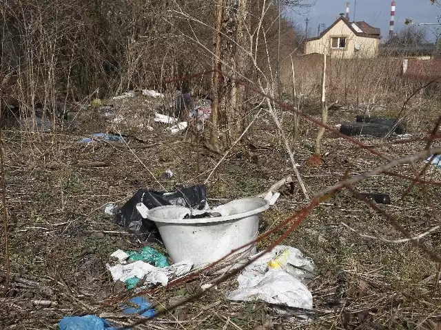 Ludzie wyrzucają śmieci, gdzie popadnie. Na niezagospodarowanym terenie obok ulicy Proletariackiej 8 w trawie leży pełno śmieci. Są tu stare opony, metalowe miski i połamane urządzenia wyrzucone po remontach mieszkań.