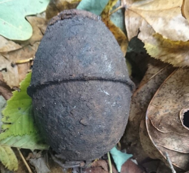 Granat został zabezpieczony. Na razie nie wiadomo, jak znalazł się na poboczu drogi.