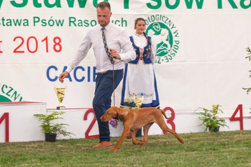 W weekend, na sopockim Hipodromie odbywa się XXVII...