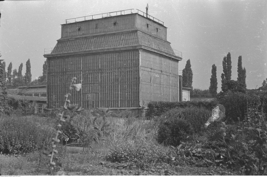 Ogród Botaniczny Uniwersytetu Jagiellońskiego w Krakowie -...