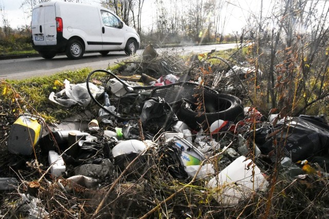 Miejskie służby wywiozły w tym roku 2300 metrów sześciennych śmieci z dzikich wysypisk.