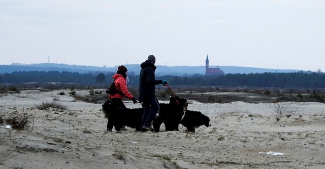 Poprawa pogody sprawiła, że na Pustyni Błędowskiej pojawili się liczni zwolennicy rekreacji, spacerów i puszczania baniek