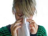 Coraz więcej Polaków to alergicy - jak zdrowo oddychać w swoim domu?