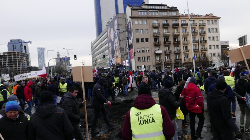 Sadownicy z okolic Warki i Grójca z martwą świnią w stolicy.