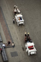 Kraków. Urząd Miasta ogłosił przetarg na miejsca postojowe dla dorożek. Aktywiści KSOZ: Wstyd i kompromitacja