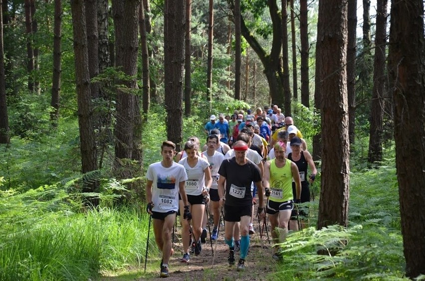 8. Marsz Nordic Walking w Koszwicach