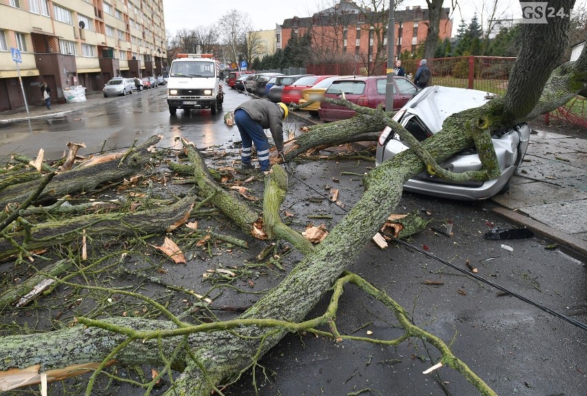 Wichura nad Szczecinem [4.03.2019 r.] Drzewa łamały się jak zapałki [WIDEO, ZDJĘCIA]