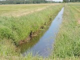 Lelis. Właściciele zapominają, że to do nich należy konserwacja rowów na polach