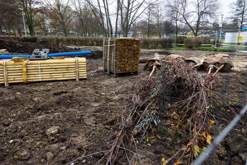 Rewitalizacja Parku Kurdwanów